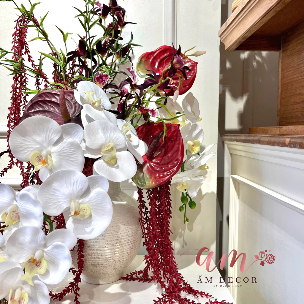 ZBÌNH HOA ORCHID REWINE