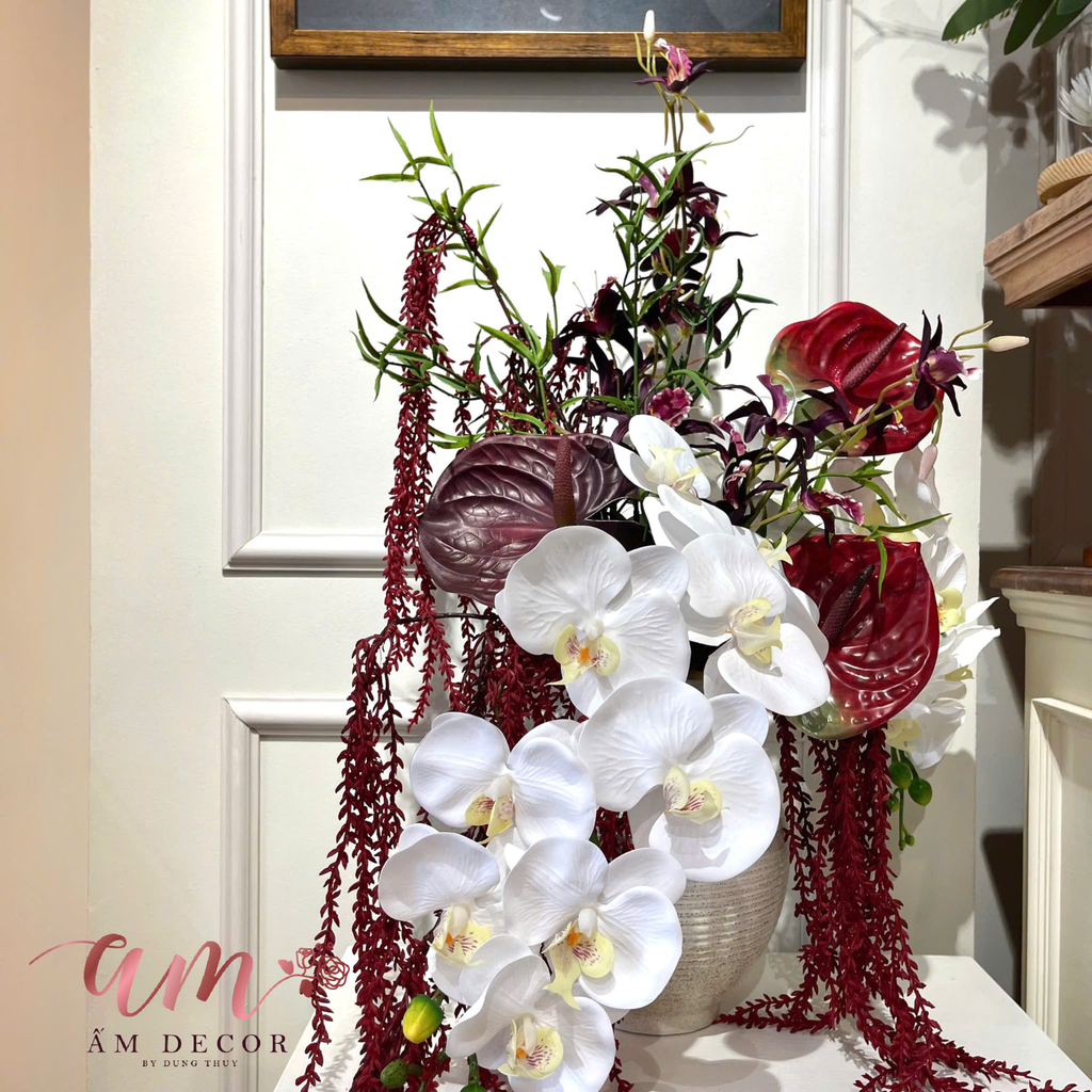 ZBÌNH HOA ORCHID REWINE