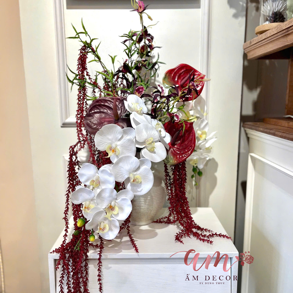 ZBÌNH HOA ORCHID REWINE