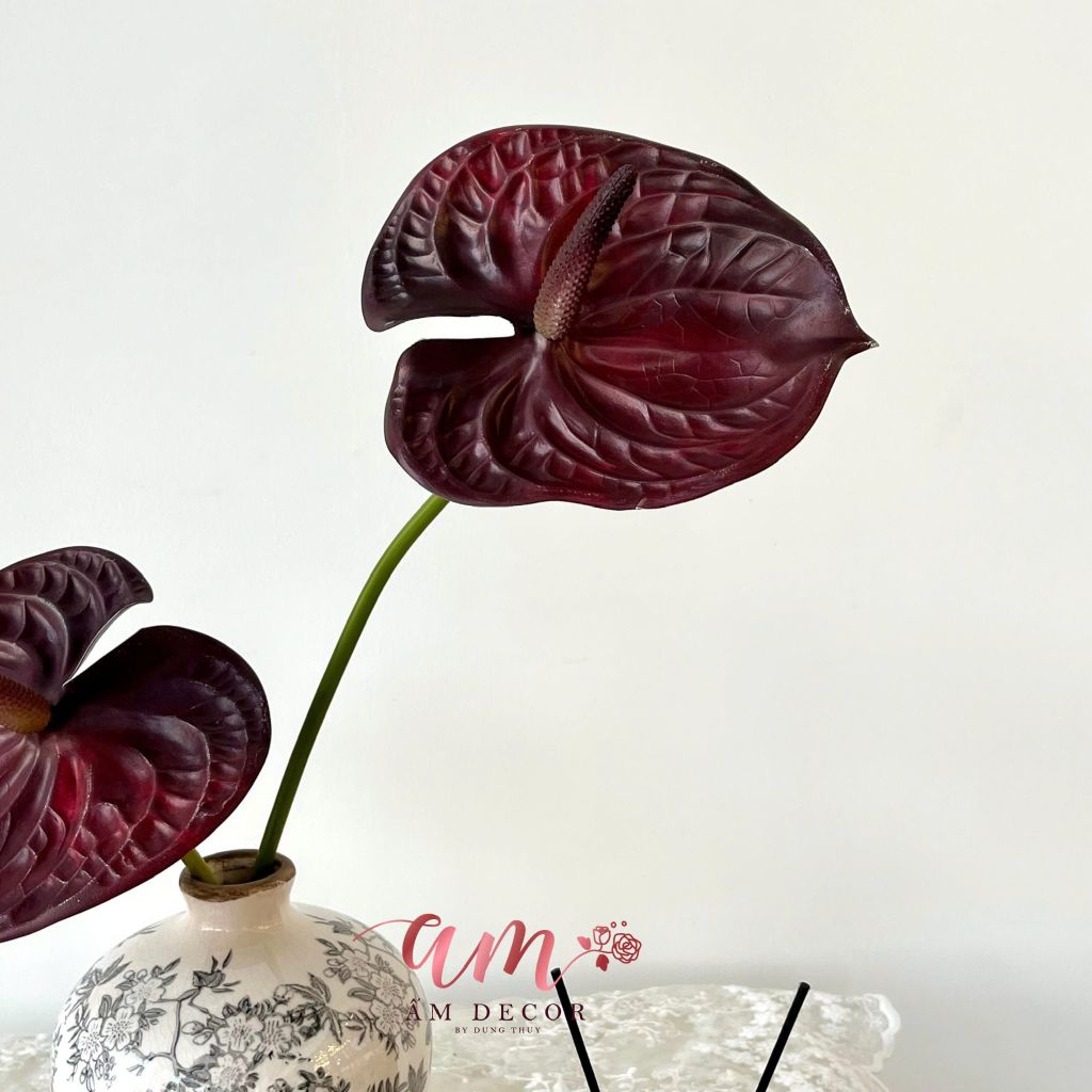 BÌNH HOA SCARLET MUSE