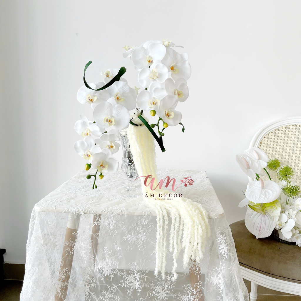 ZLỌ HOA LAMOON ORCHID