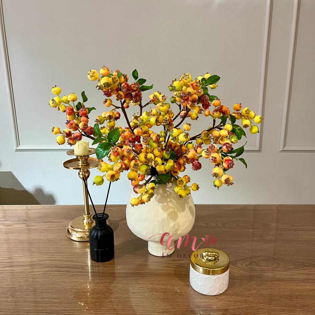Ấm Plant House - ORANGE BLUEBERRY