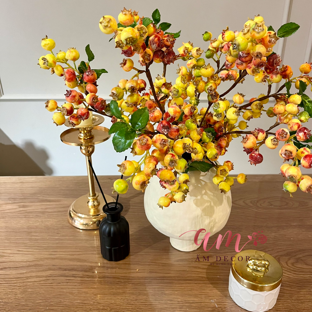 Ấm Plant House - ORANGE BLUEBERRY