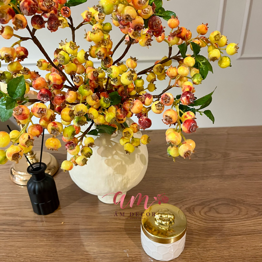 Ấm Plant House - ORANGE BLUEBERRY