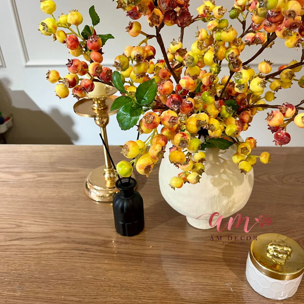 Ấm Plant House - ORANGE BLUEBERRY