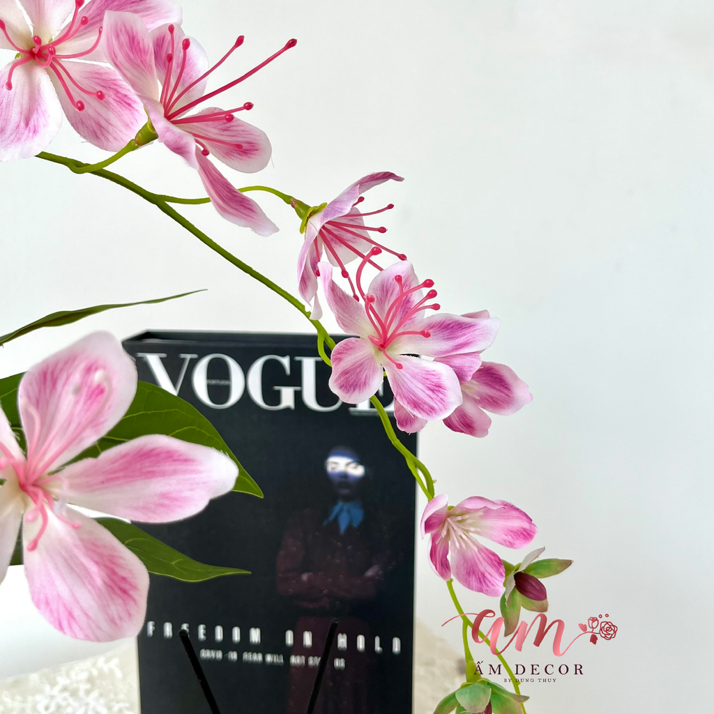 ZLỌ HOA BLOSSOM BUTTERFLY