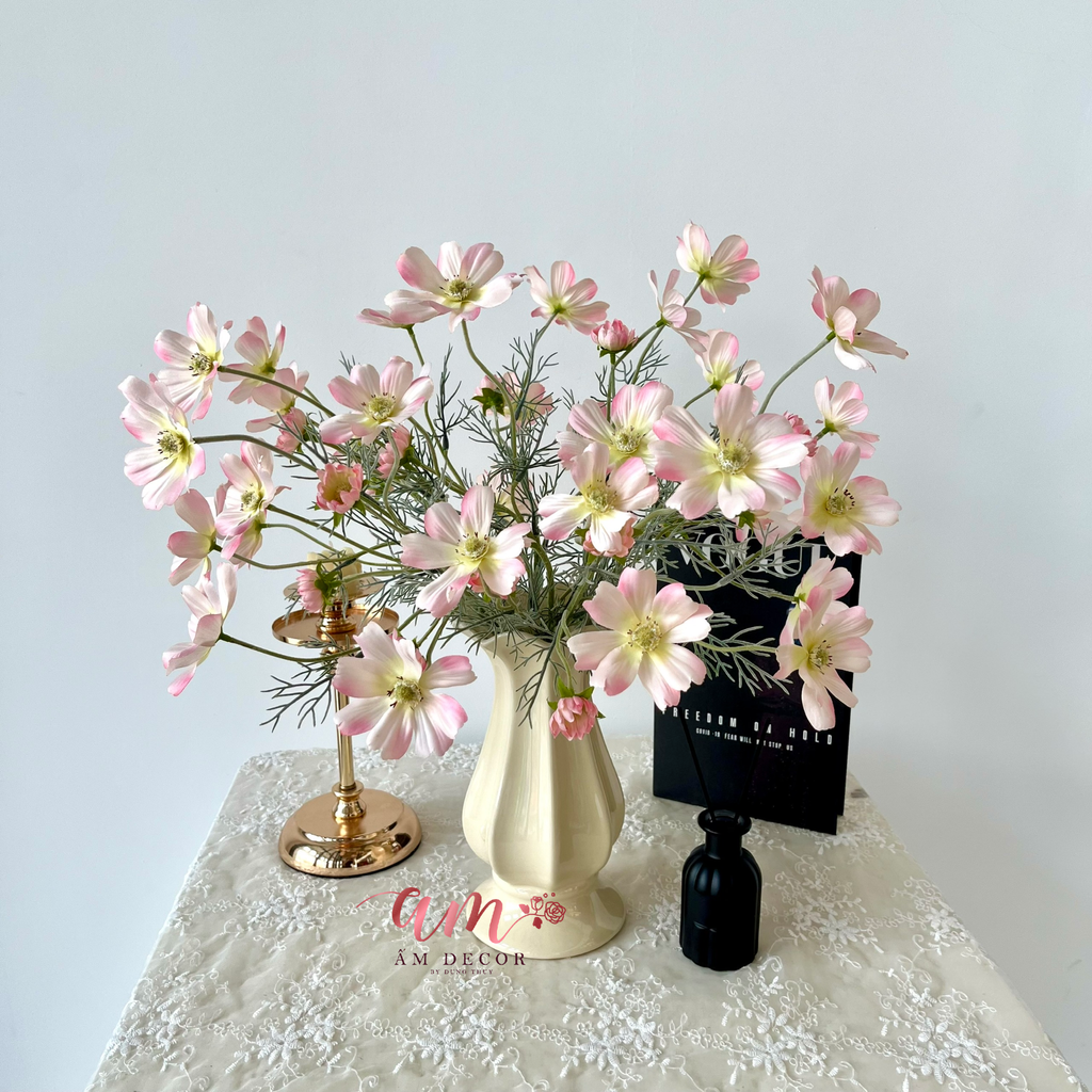 ZBÌNH HOA SERENNA COSMOS