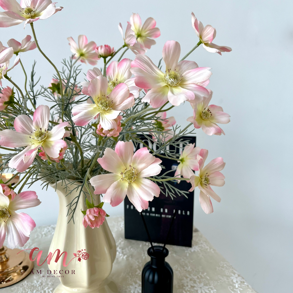 ZBÌNH HOA SERENNA COSMOS