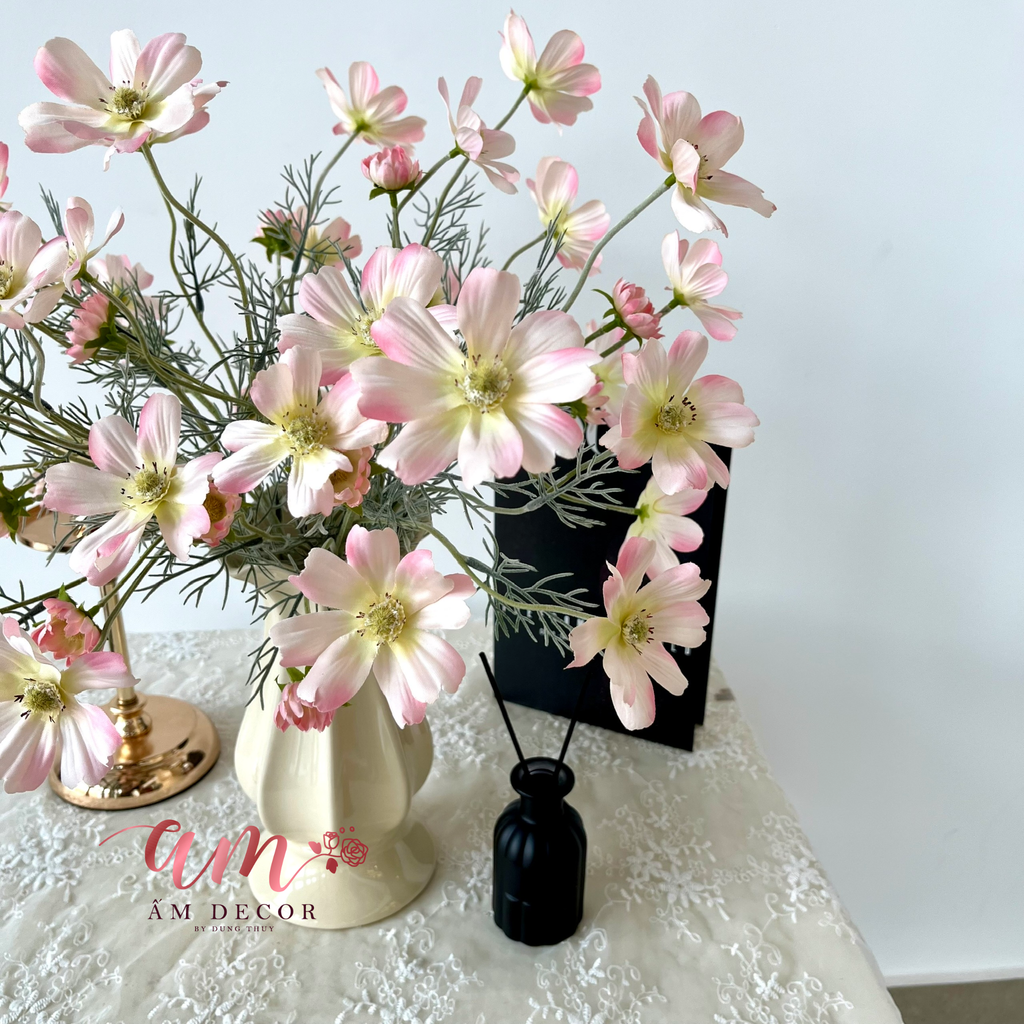 ZBÌNH HOA SERENNA COSMOS