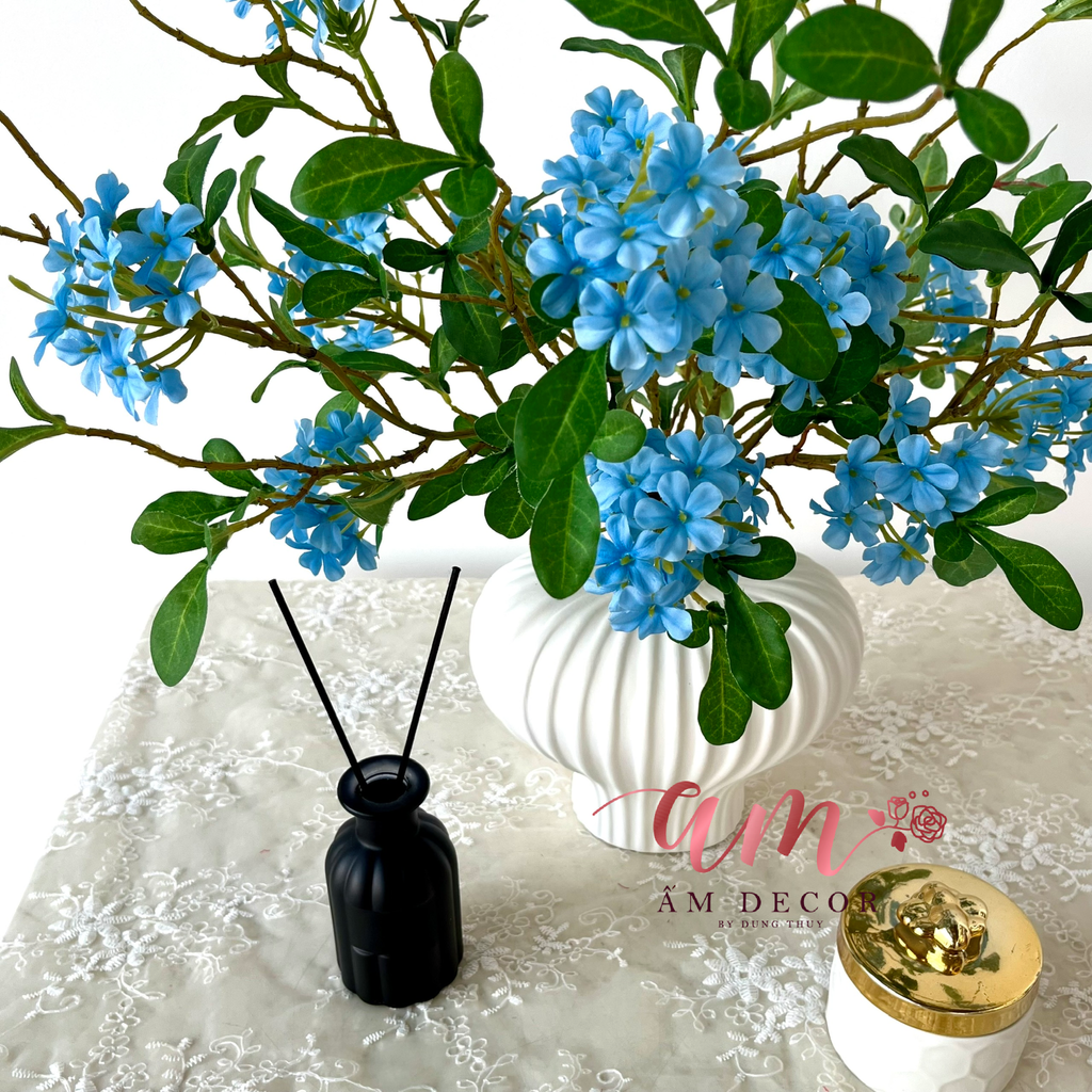 ZBÌNH HOA BLUEOCEAN CELESTE