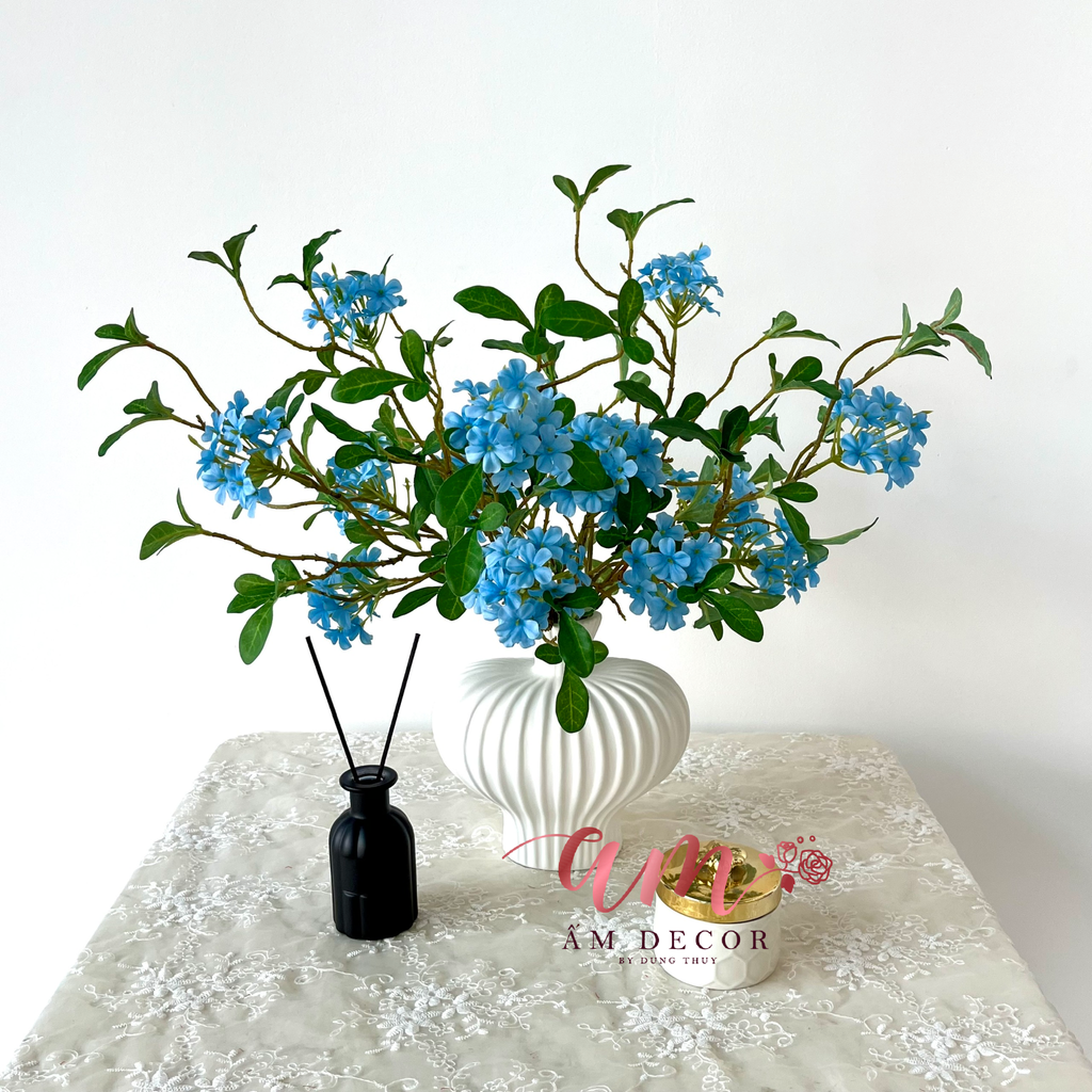 ZBÌNH HOA BLUEOCEAN CELESTE