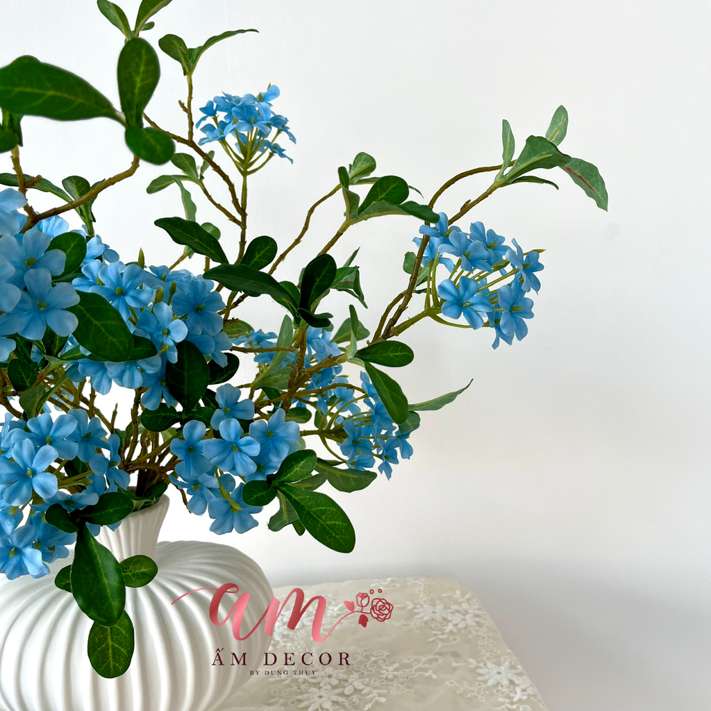 ZBÌNH HOA BLUEOCEAN CELESTE