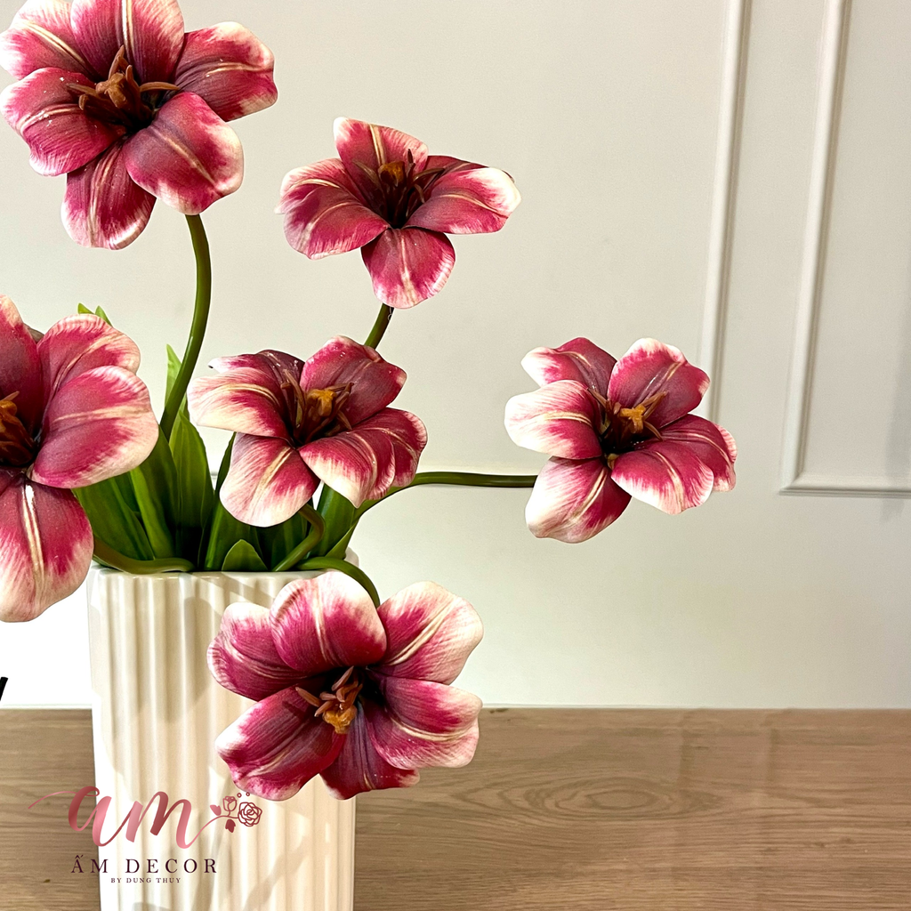 BÌNH HOA REDVELVET TULIP