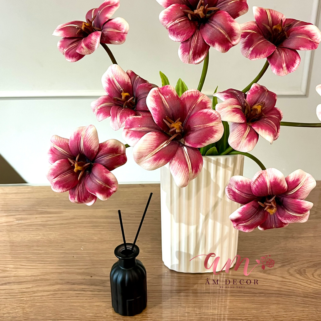 BÌNH HOA REDVELVET TULIP