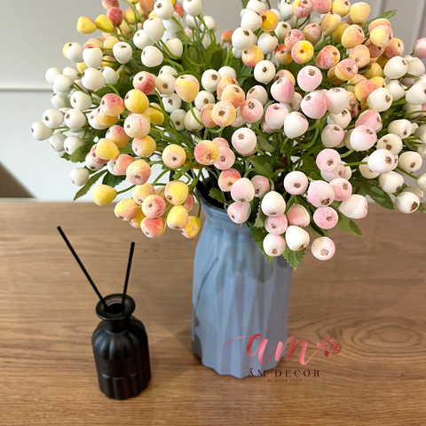  ZẤm Plant House - SUMMER BERRY 