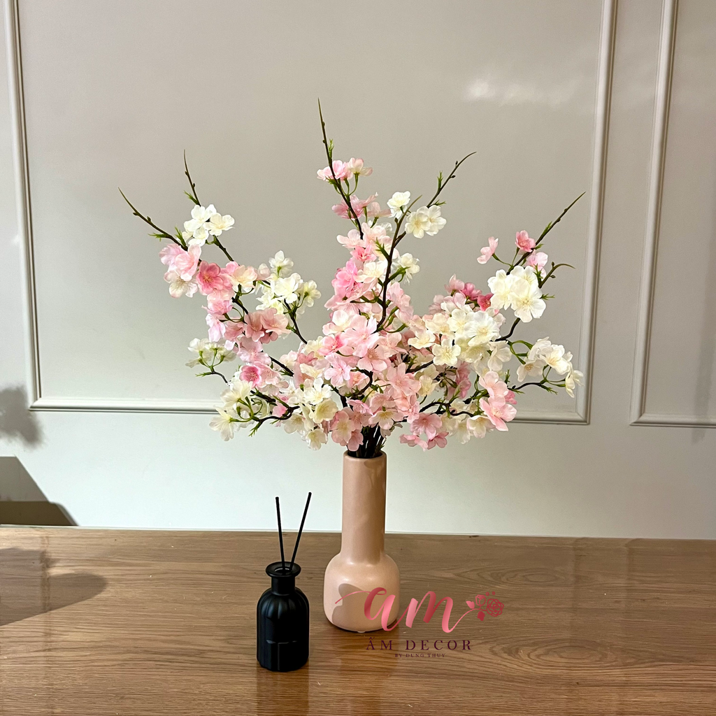 ZBÌNH HOA DAILY SAKURA