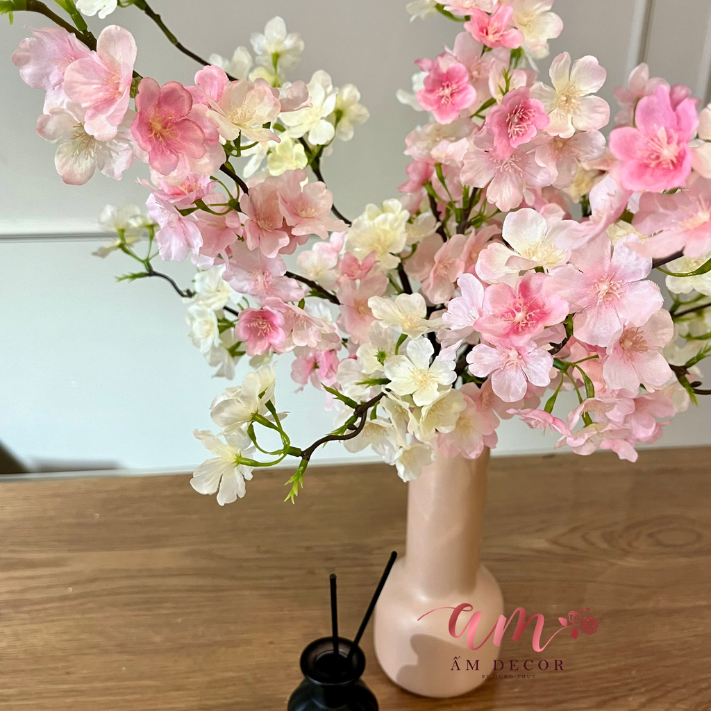 ZBÌNH HOA DAILY SAKURA