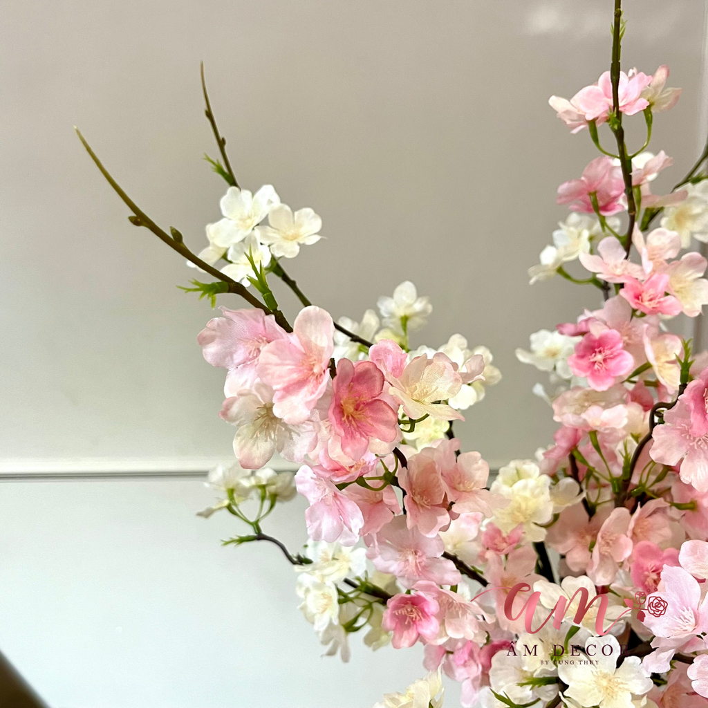 ZBÌNH HOA DAILY SAKURA