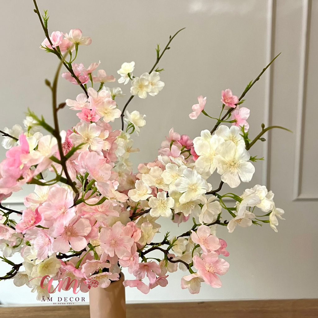 ZBÌNH HOA DAILY SAKURA