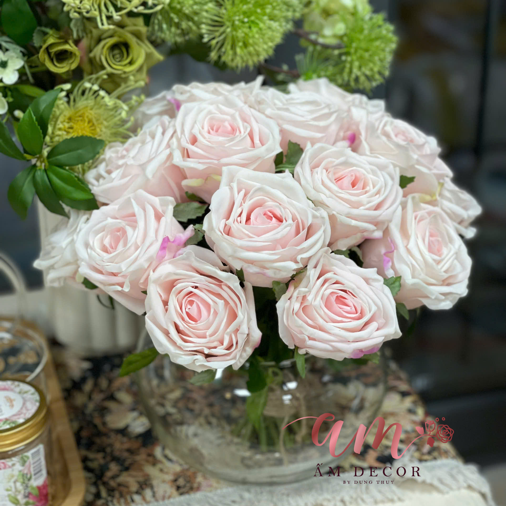 CHẬU HOA LADIES ROSE