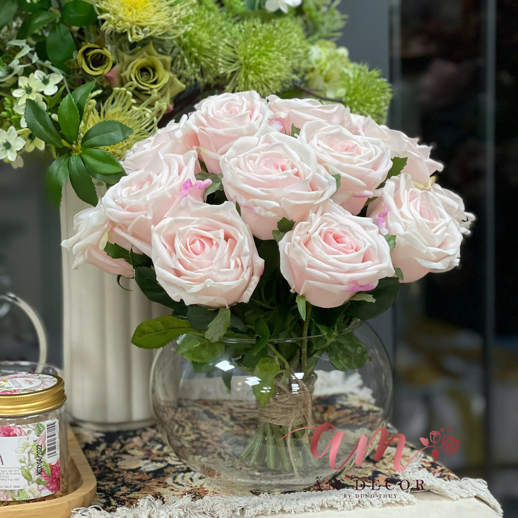 CHẬU HOA LADIES ROSE