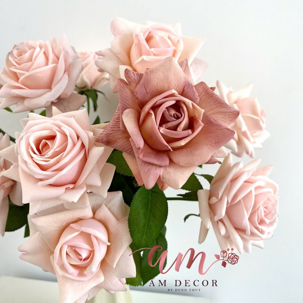 ZLỌ HOA ROSE LADY KAFFE