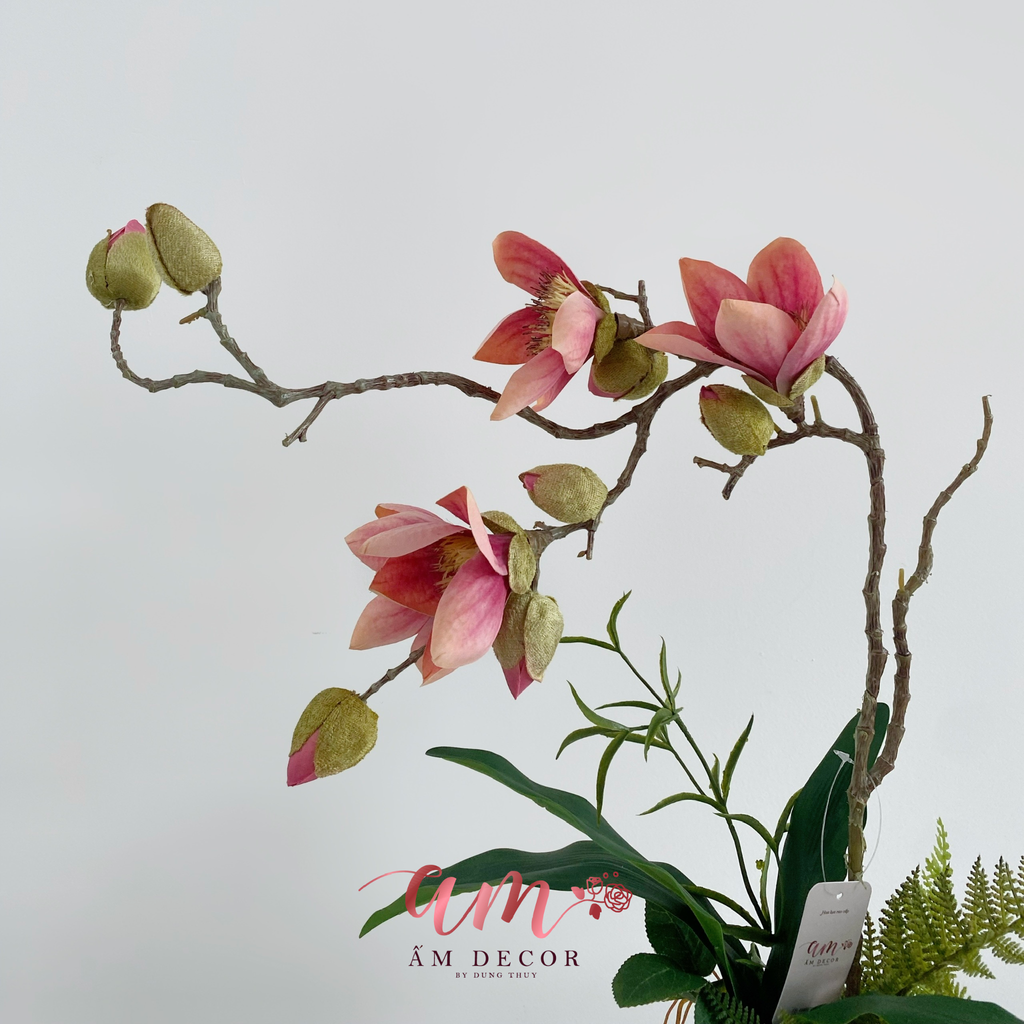 CHẬU HOA FLAME BLOSSOM