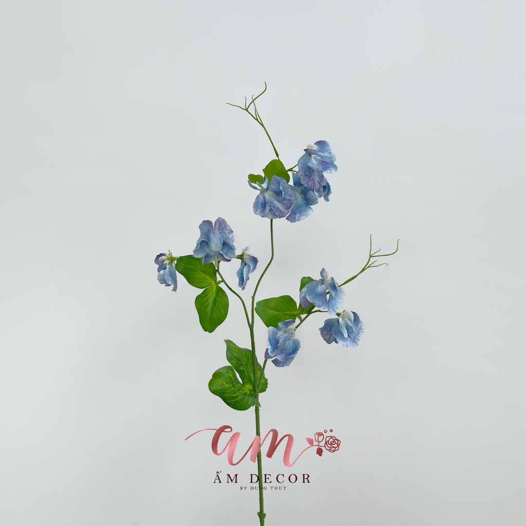 HOA ĐẬU THƠM 2025 (XANH DƯƠNG)