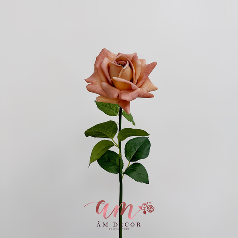  AUSTIN MÙA THU (Nâu) 