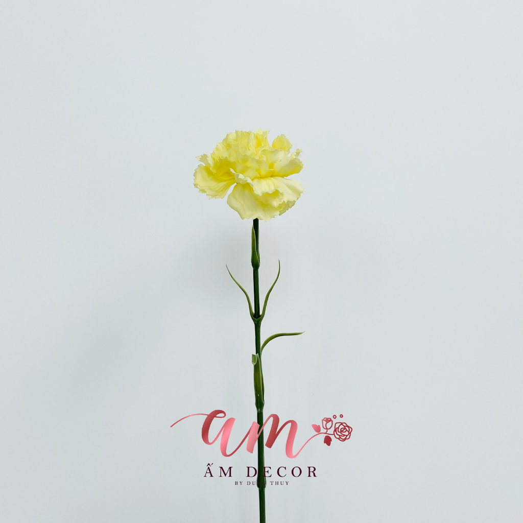 CẨM CHƯỚNG (VÀNG)
