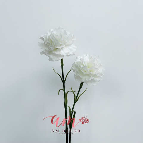  CẨM CHƯỚNG (TRẮNG) 