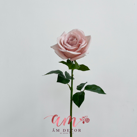  COROLLA (MÀU BỘT ĐẬU) 