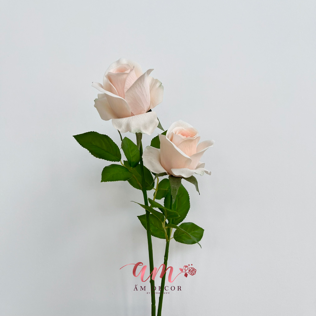 ZHOA HỒNG ANH KAPU (KEM)