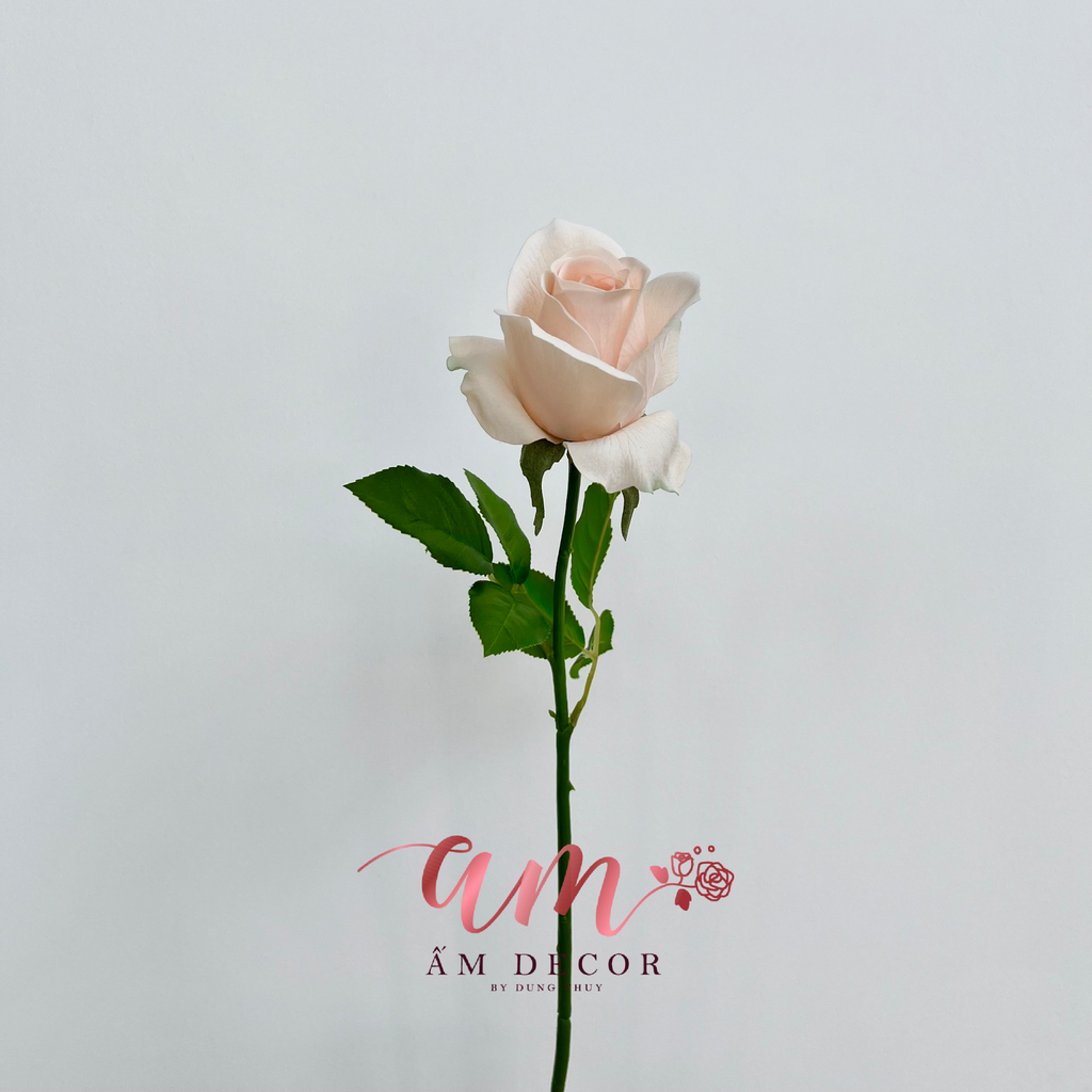 ZHOA HỒNG ANH KAPU (KEM)