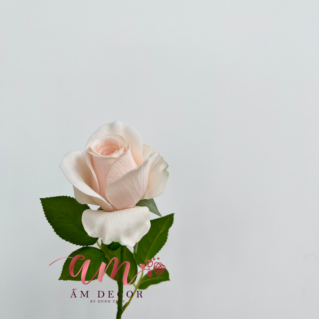 ZHOA HỒNG ANH KAPU (KEM)