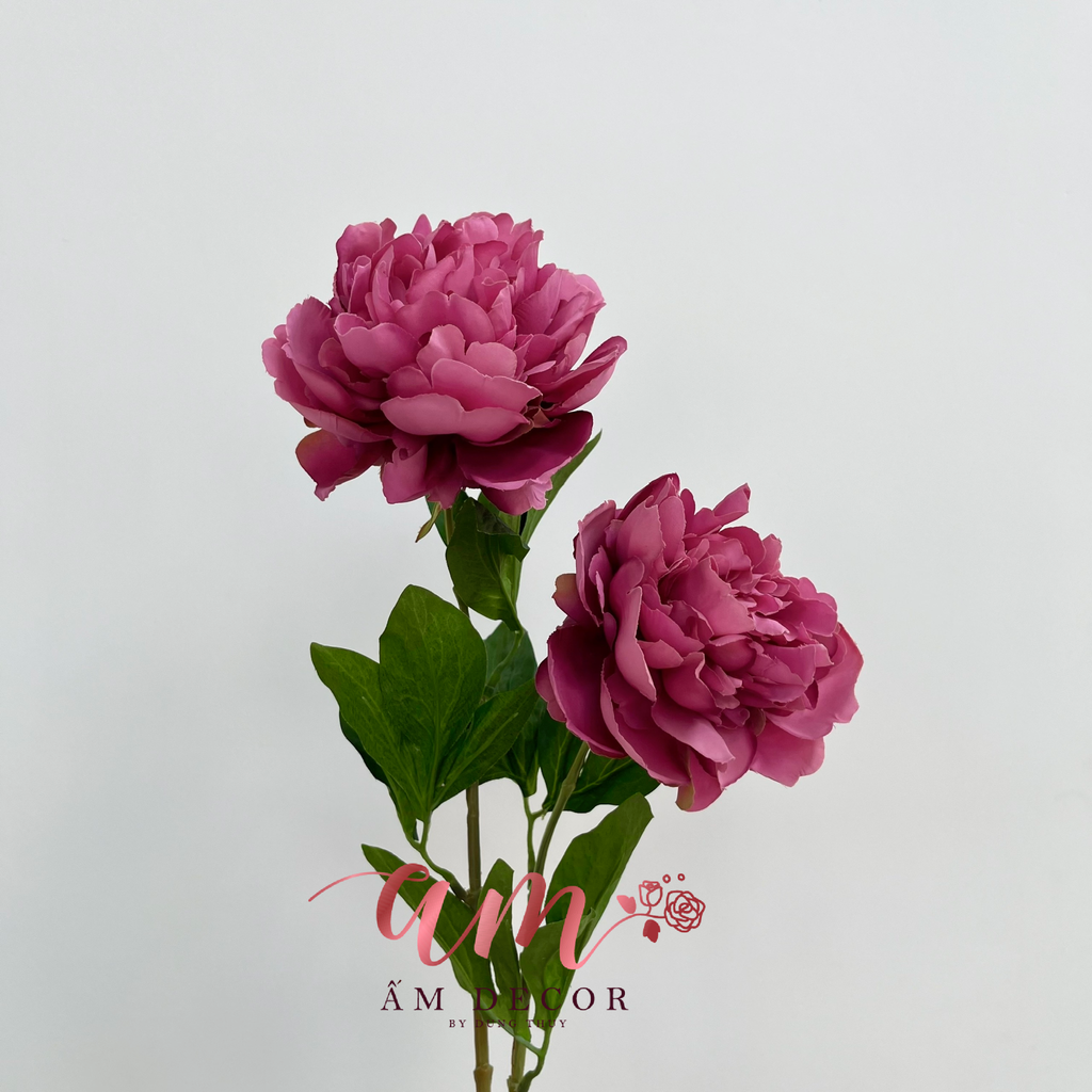 MẪU ĐƠN CỔ ĐIỂN