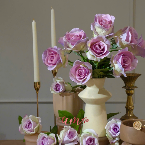  ZBÌNH HOA DIANA ROSIA 