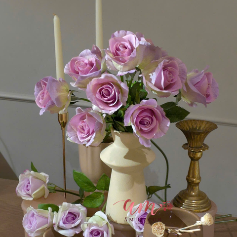  ZBÌNH HOA DIANA ROSIA 