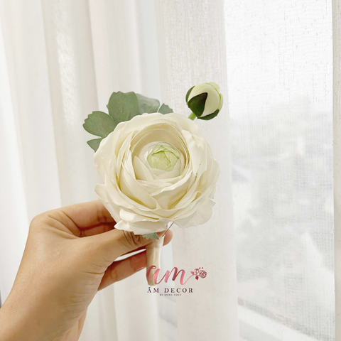  HOA CÀI CHÚ RỂ PERSIAN BUTTERCUP 