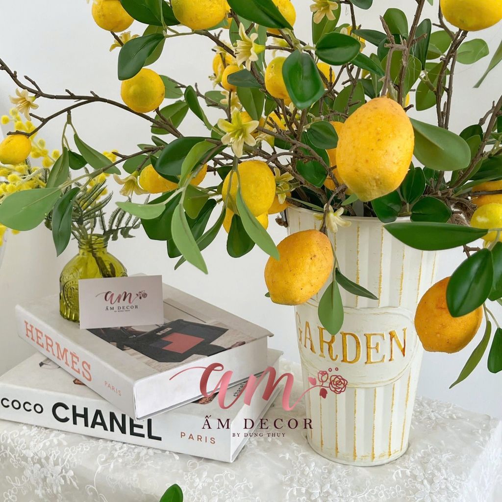 SET BUCKET LEMONADE SUMMER
