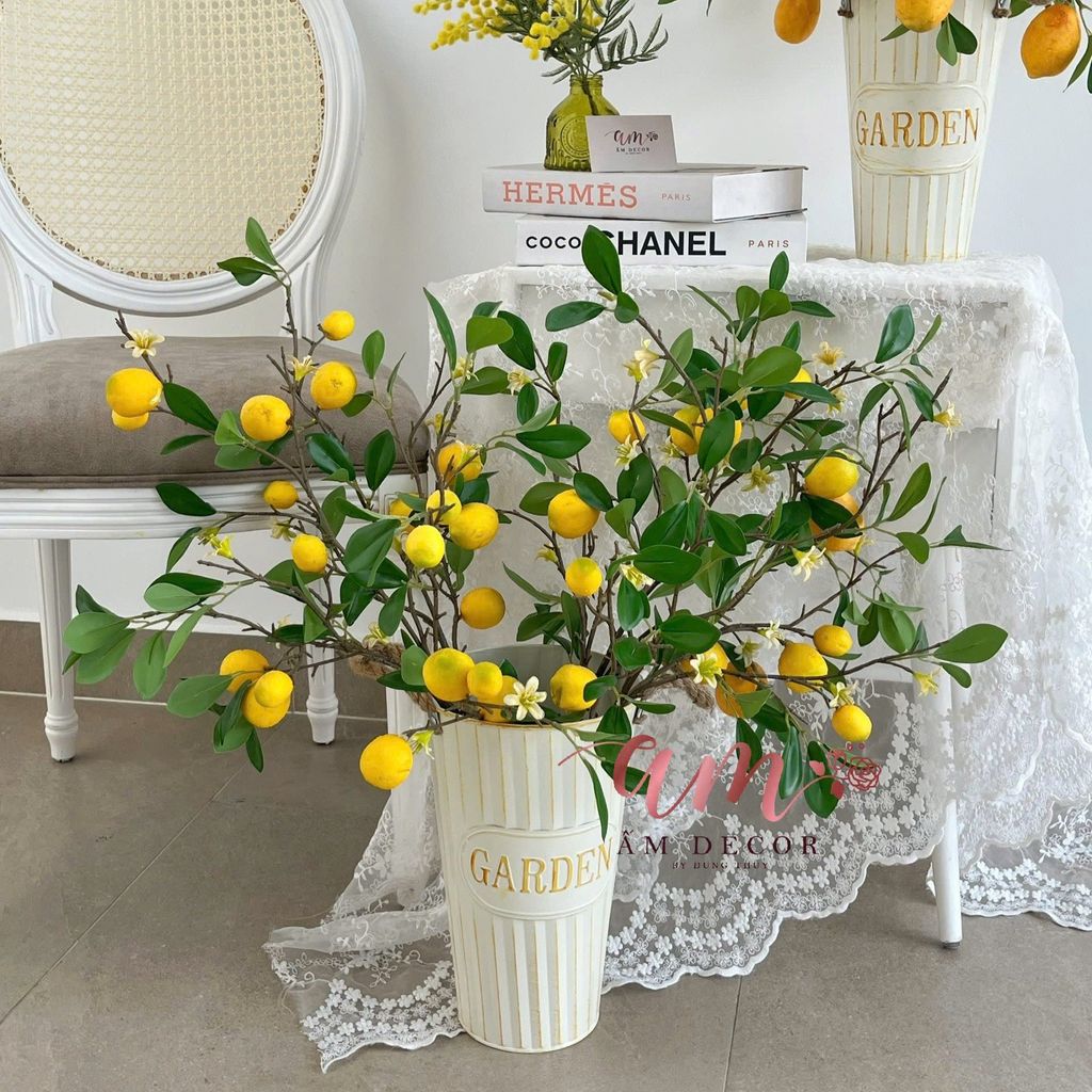 SET BUCKET LEMONADE SUMMER