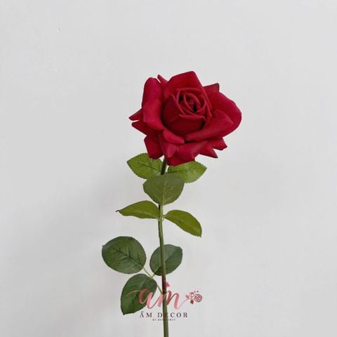  AUSTIN HOA HỒNG (Đỏ) 