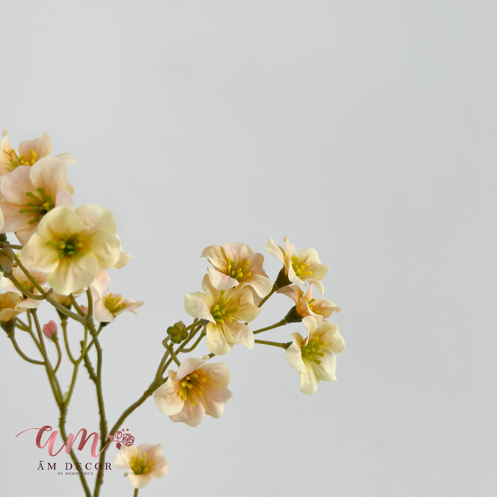 CÀNH THANH LIỄU KHÔNG LÁ (CAM HỒNG)