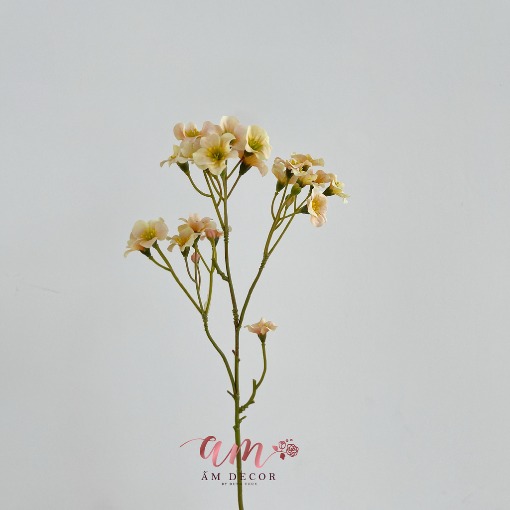 CÀNH THANH LIỄU KHÔNG LÁ (CAM HỒNG)