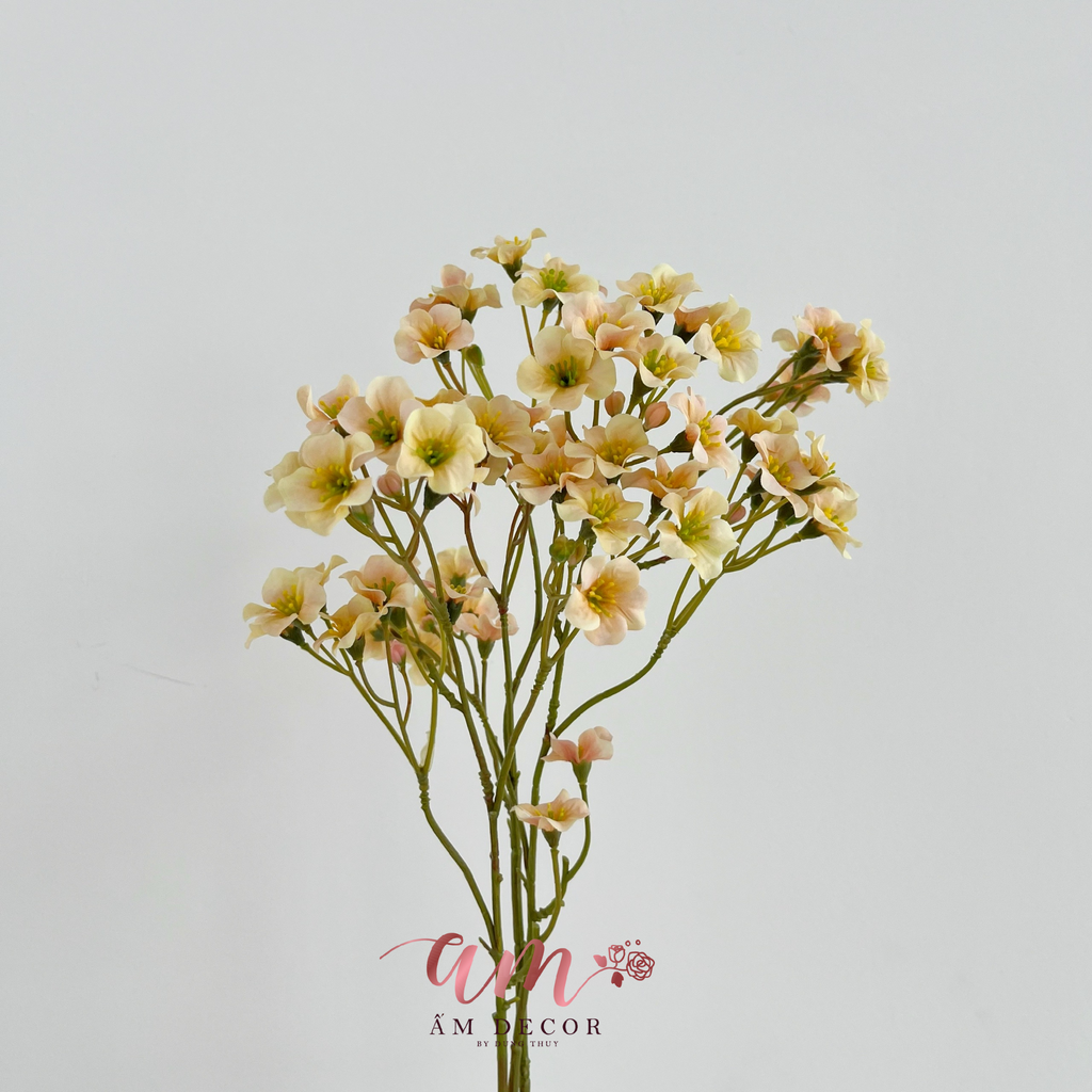 CÀNH THANH LIỄU KHÔNG LÁ (CAM HỒNG)