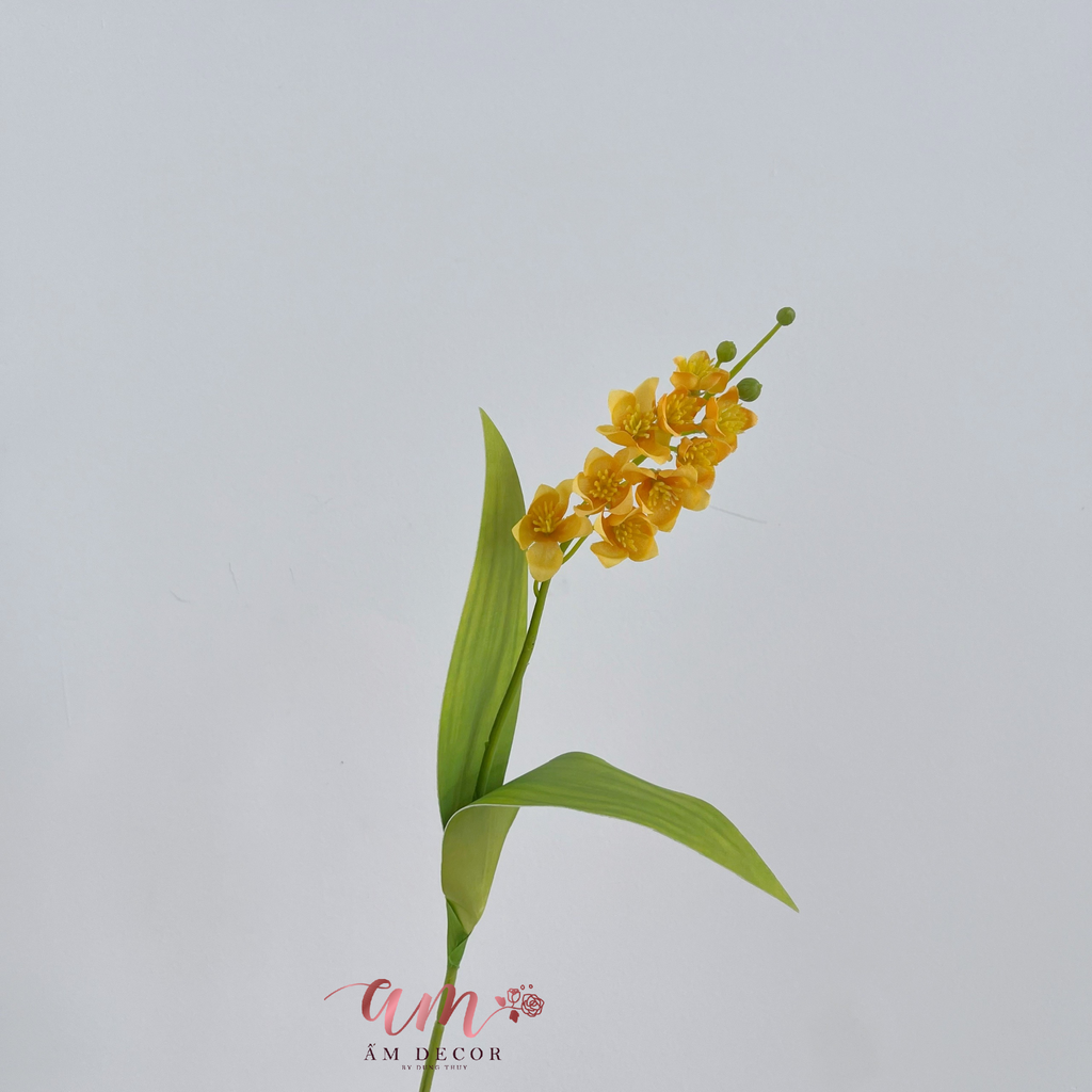 HOA CHUÔNG LINH LAN (CAM)