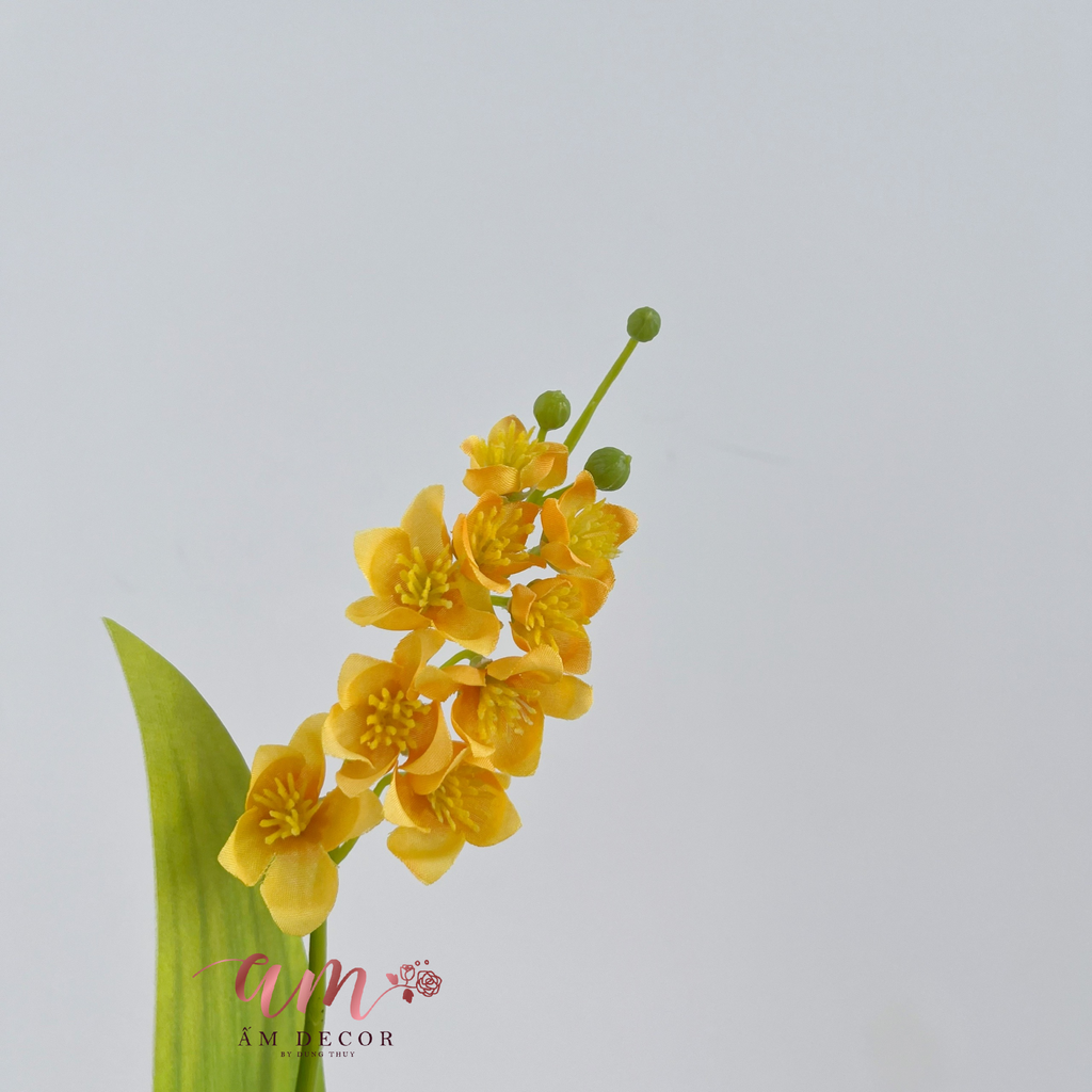 HOA CHUÔNG LINH LAN (CAM)