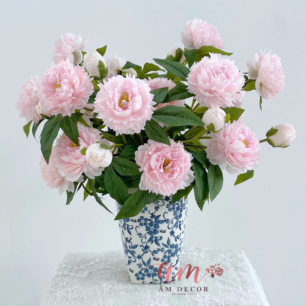 ZBÌNH HOA BLUSH PEONY