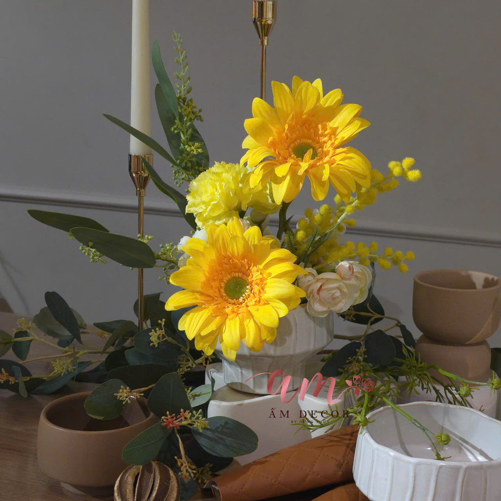 CHẬU HOA GERBERA