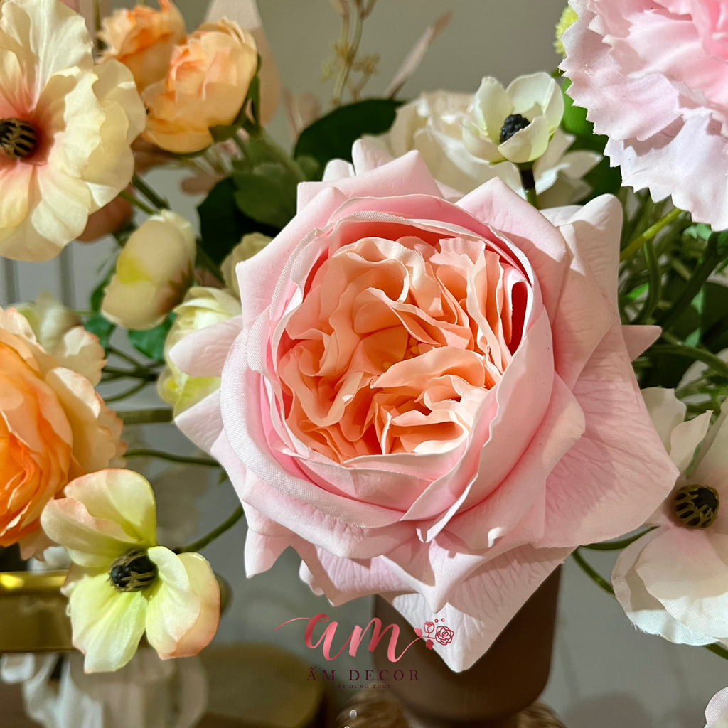 BÌNH HOA MELODY ANGEL'S